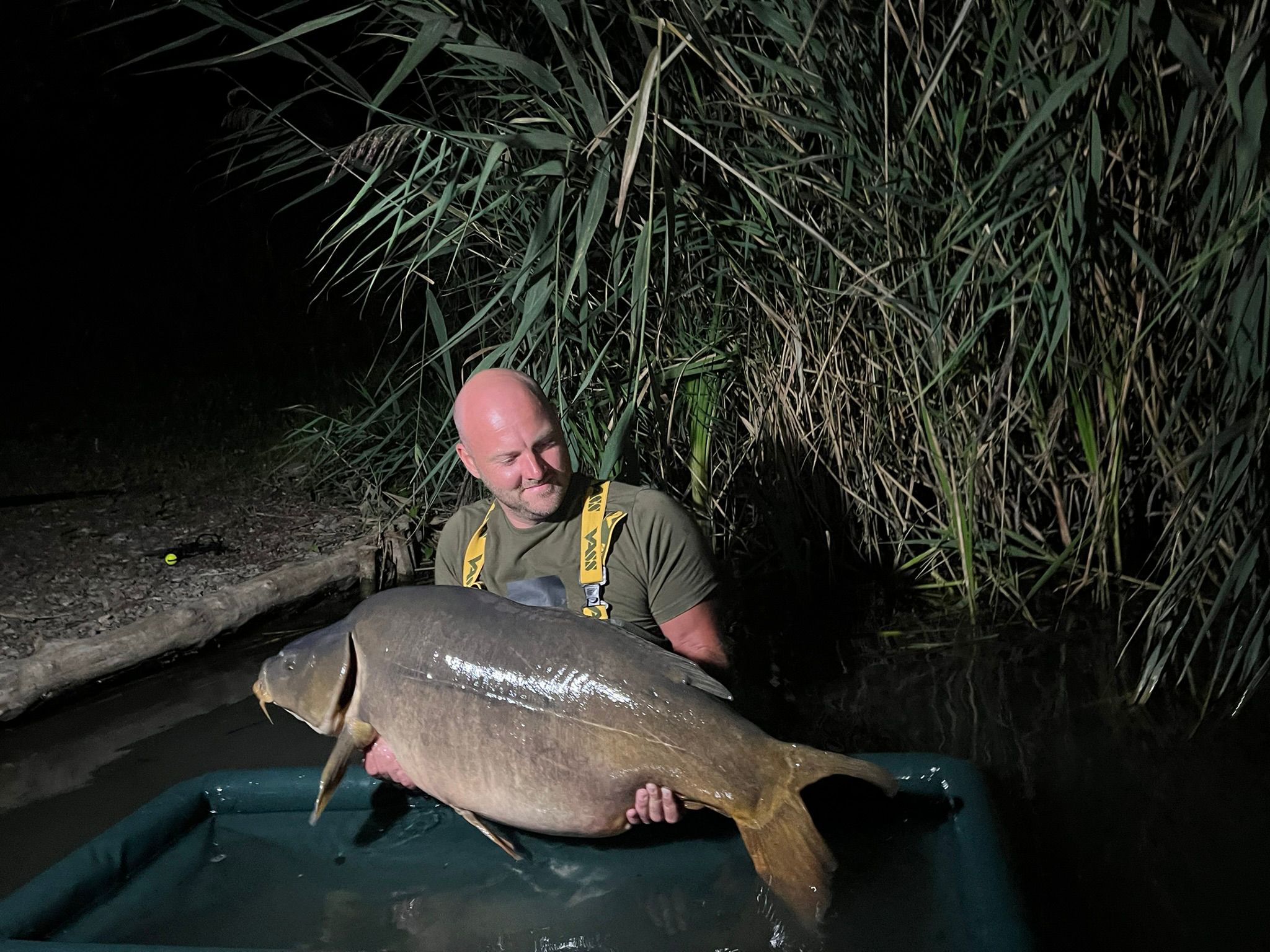 Kapor, boilies, MTC Baits