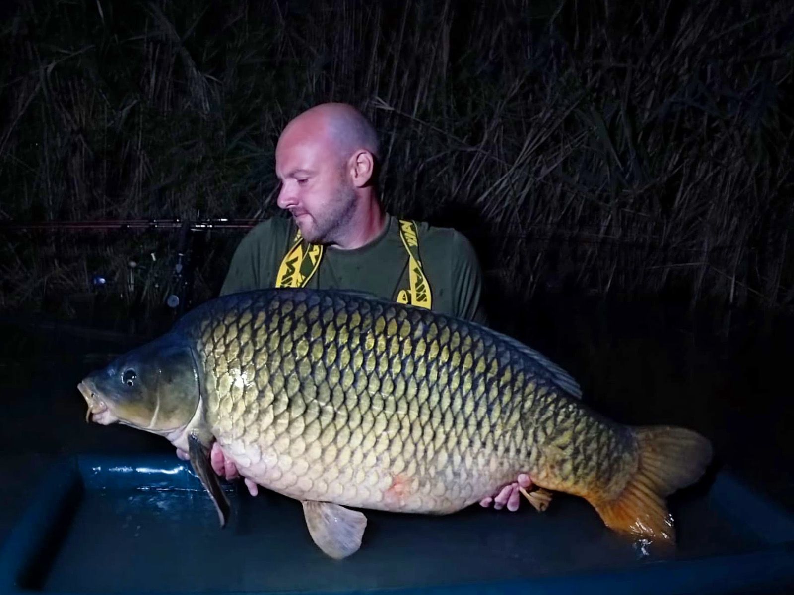 Kapor, boilies, MTC Baits